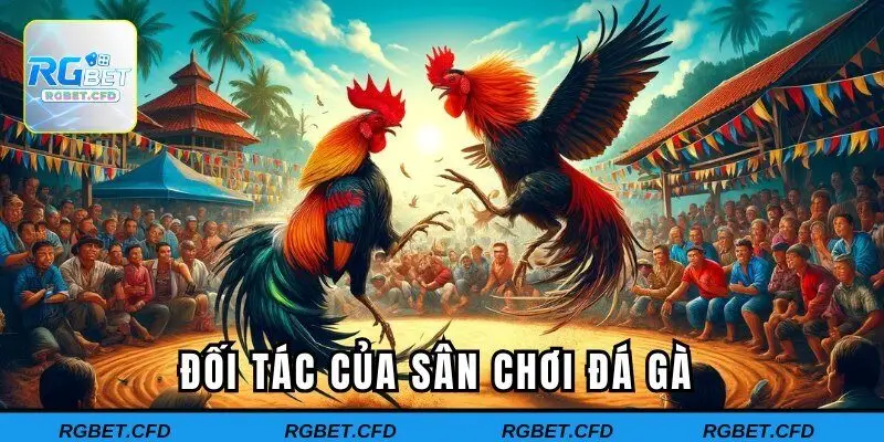 Đối tác của sân chơi đá gà 