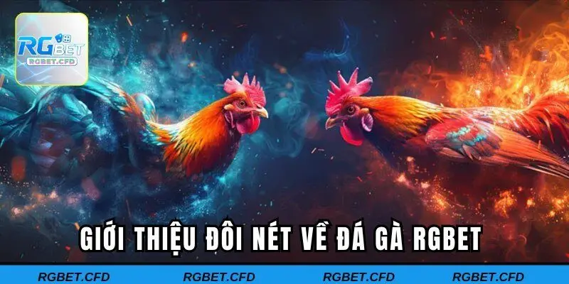 Giới thiệu đôi nét về đá gà RGBET 